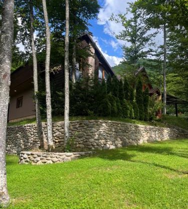 Villa in Brezovica
