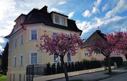 Villa Kreuzbergl - Doppelzimmer