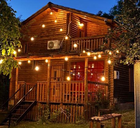 Villzone vila in Prishtina with big garden