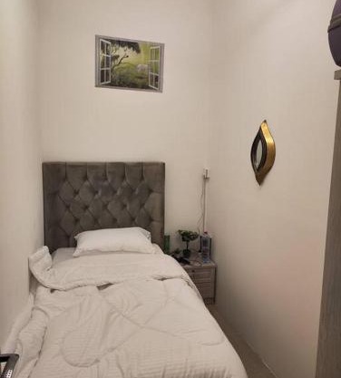 VIP bed private partition