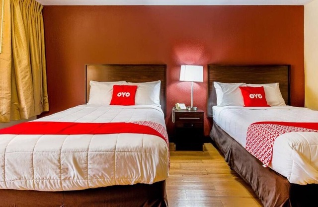 Visit Center for Belgian Culture! 3 Posh Units, Pets are Allowed, Free Parking