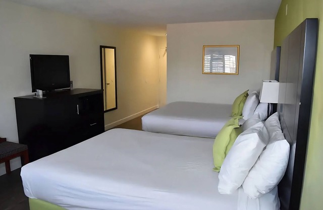 Visit Sunset Cliffs, San Diego! Classic Unit Close to Garden of the Sea!