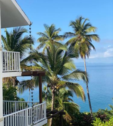 Vista Mare Samana The Best View!
