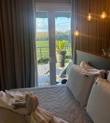 Vista Vigneti Albergo & Vino - Vale dos Vinhedos