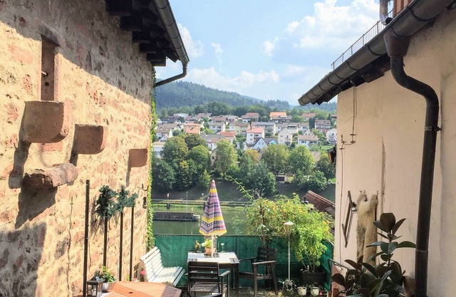 W4.Neckar view, nature, old town
