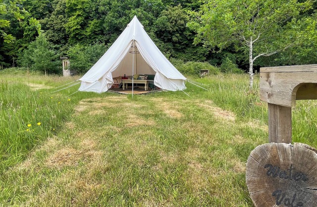 Water Vole - UK49931