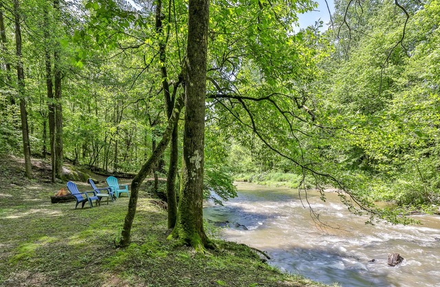 Water, Wines in the Pines - Creek Front, Dog Friendly