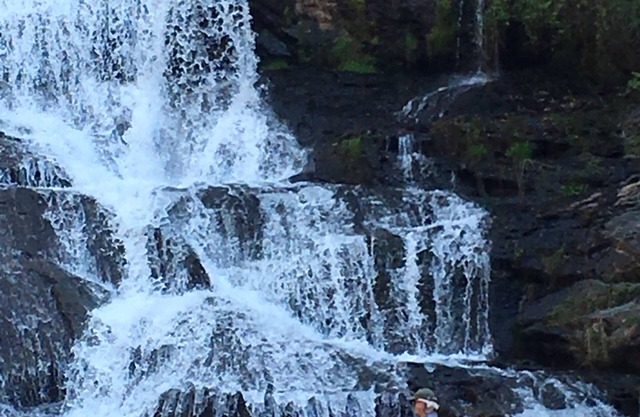 Waterfall Cottage within sight & sound of Cane Creek Falls, 2BR 2BA