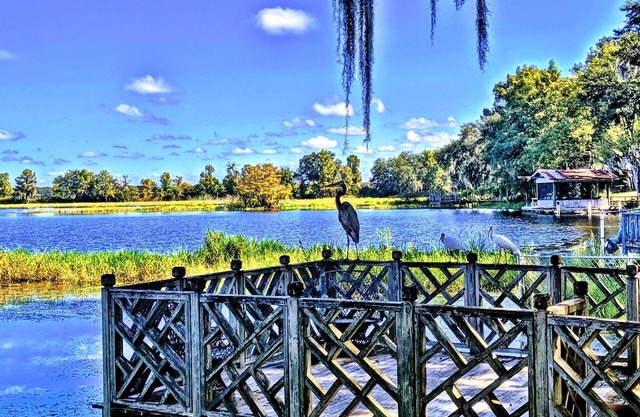 Waterfront Cottage Downtown Inverness, BASS, BIKE, BEER, IT'S ALL HERE!