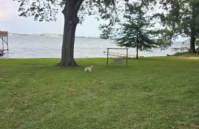 “Waterfront Getaway on Wheeler Lake – Private Dock & Boat Ramp”