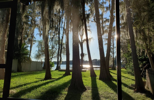 Waterfront great views large 1 bedroom studio apartment close to Moffitt, Tampa.