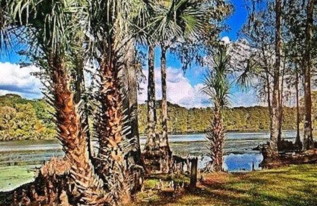 Waterfront house on Withlachoochee River, deck, pool, absolutely beautiful view!