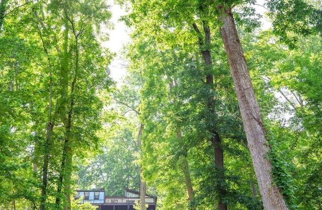 Waterfront River Views | Glass Sunroom | Peaceful