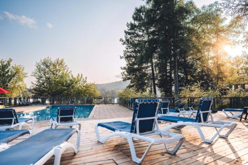 Waterfront Suite & Lake Resort