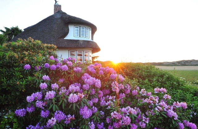 Watthüs from A&M - Watthüs