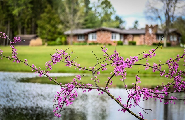 We are a quiet ranch home that sits on 8 acres with firepit, pond and bar.