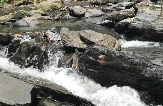 We offer a family atmosphere, surrounded by lots of nature and natural pools