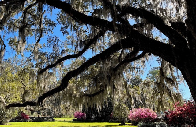 Wedgefield Country Club