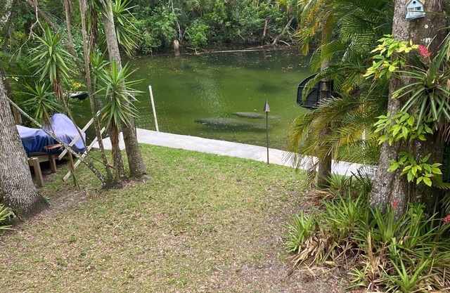Weeki Wachee river ! REAL FLORIDA! Read OUR 5 STAR REVIEWS