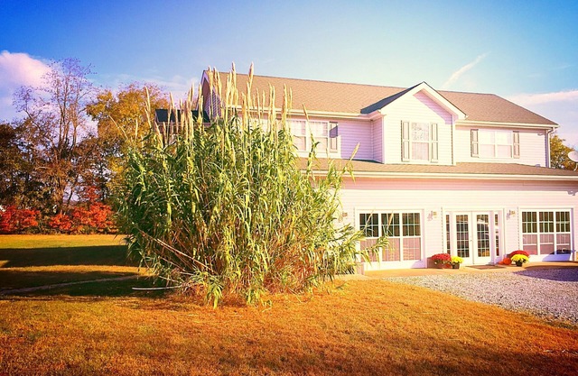 WELCOME Cave Visitors! Clean, Peaceful Home in the Country. Game Room/Mini Gym!