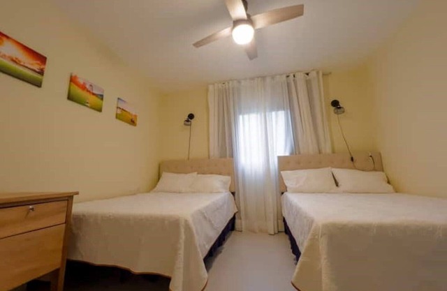 Welcome to Beautiful Palm Tree