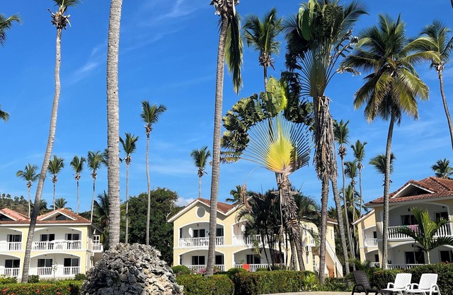 Welcome to our newly renovated and beautifully designed condo in Samana