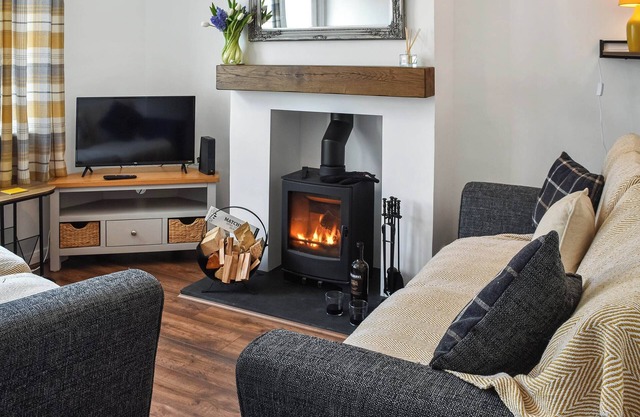 Welcome to Salty Paws.