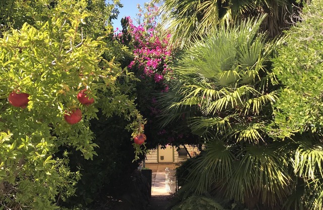 Welcome to Shazza’s