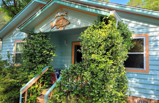 Welcome to Snapper Cottage! Pet friendly, shaded fenced yard, 2 bath, sleeps 7