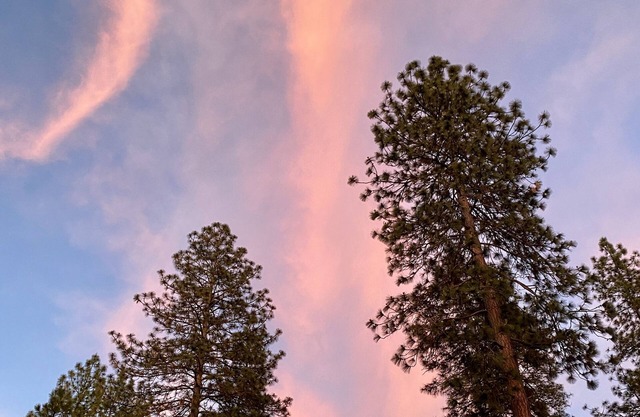 Whispering Pines! 25 miles to Yosemite + 9 miles to Mariposa!