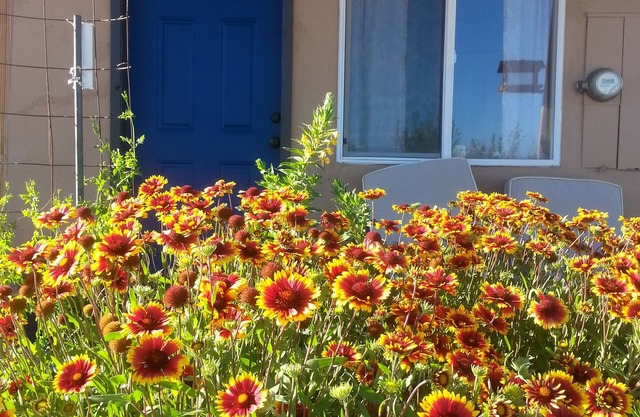 Wild Creek BnB, " Cottage "