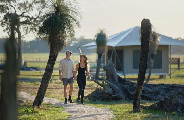 Willow Wood Glamping Retreat