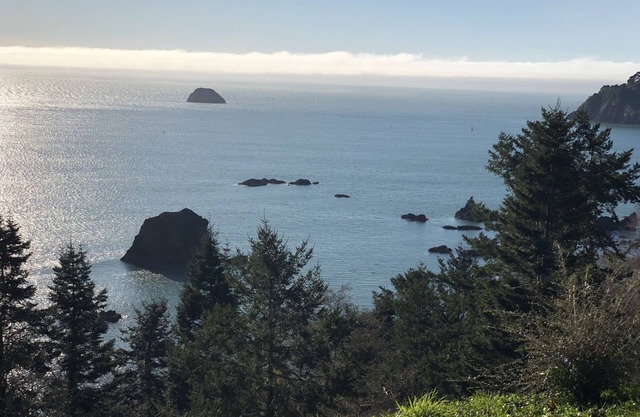 Windrose Cottage -Quiet & Romantic Near Beach!