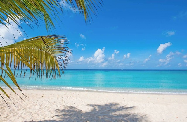 Windsong 4 - Luxury Condo-4 UNIT COMPLEX-Boggy Sand Rd-gated access to SMB