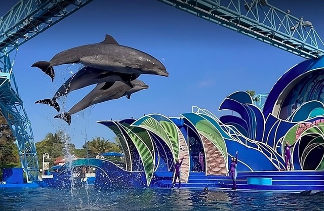 Within Walking Distance of Old Town San Diego State Park! 2 Convenient Units!