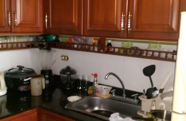 WITNESSES OF THE TROPICAL FOREST