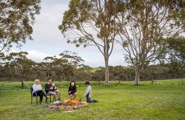 Wittows Creek - fantastic family farm stay