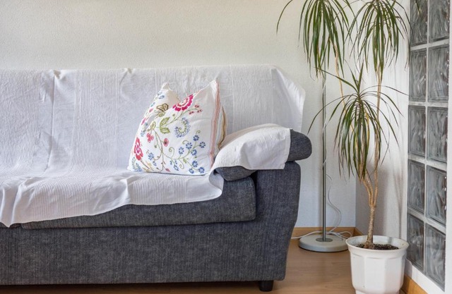 Woehrmannhof Apt Spinnrad