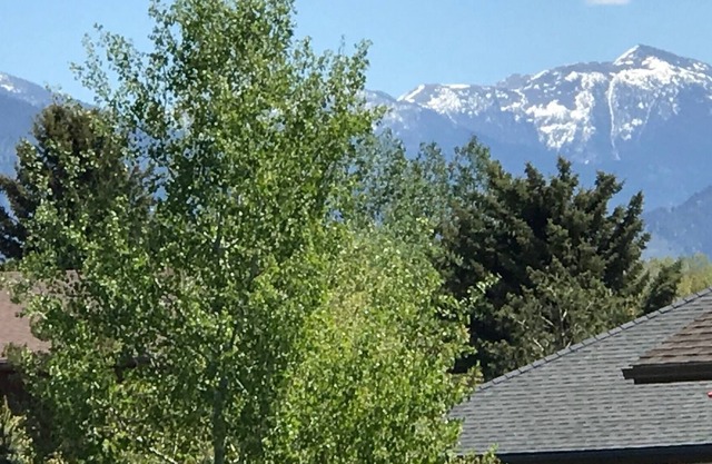 Wonderful quiet house 3/2 on 1/3 acre in town