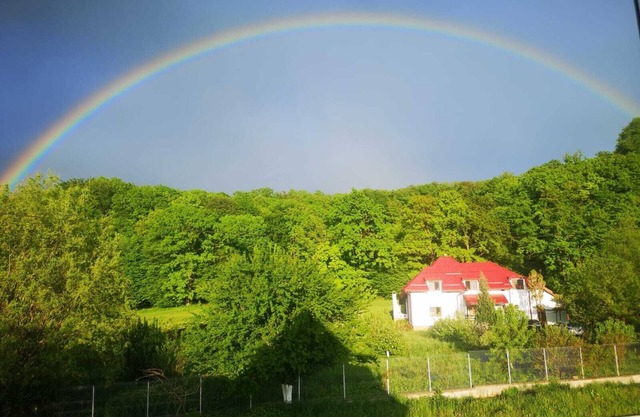 Wonderfull villa in a quiet garden — 5 min from Dino Park and Rasnov Citadelle!