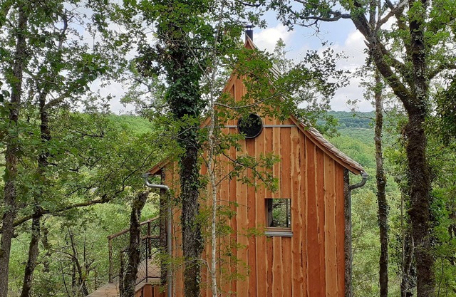 Wooden tree house