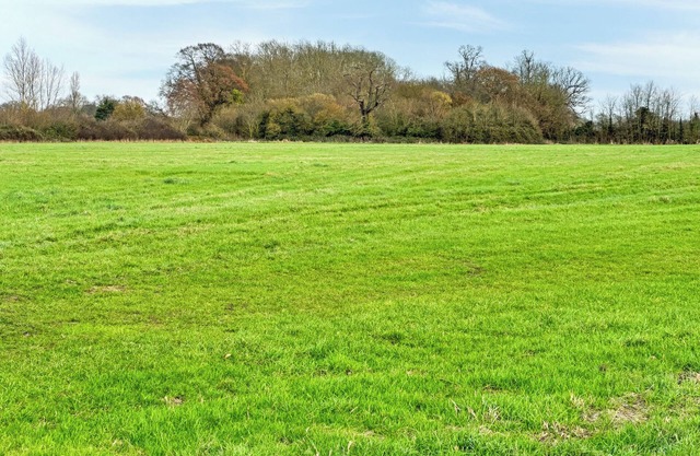 Woodland House - UK48581