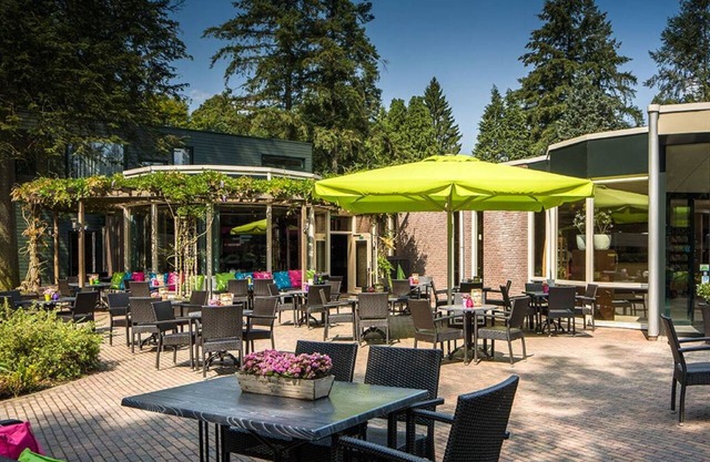 Woodland Room Escape – Tranquility in the Heart of Nature - 4 Units