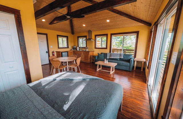 'Wren' - One of our cute and tidy Lookout Cabins