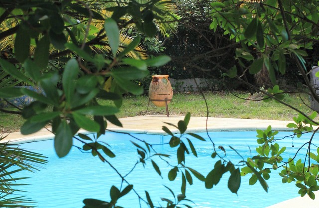 Yacumama Guesthouse