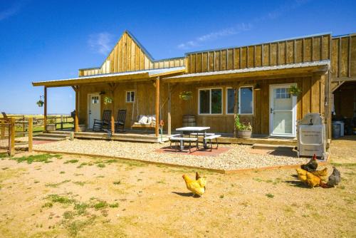 Yak Ranch with Mountain Views, Near Wellington!