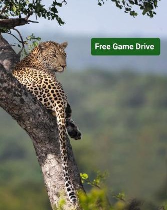 Yebo Safari Tents-Stay Inside Kruger