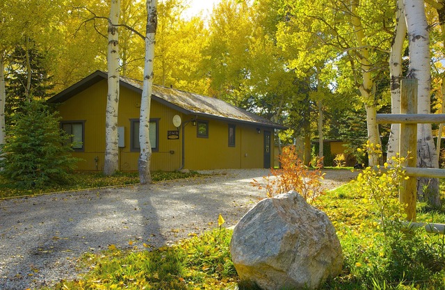 Yellowstone Aspen Cabin - NEW LISTING! Nestled in mature aspen and pine trees.