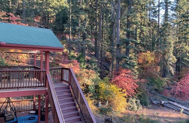 YoBee! Heart of Yosemite. Cozy View Studio. Reservations + Free Breakfast ~U3