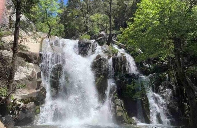 Yosemite's Chalet In The Pines